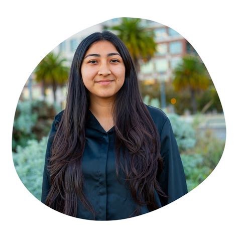 Free Coding Training 的图像结果