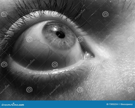 Eye fear stock photo. Image of black, brow, depression - 7305224