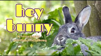 Image result for Hey Bunny