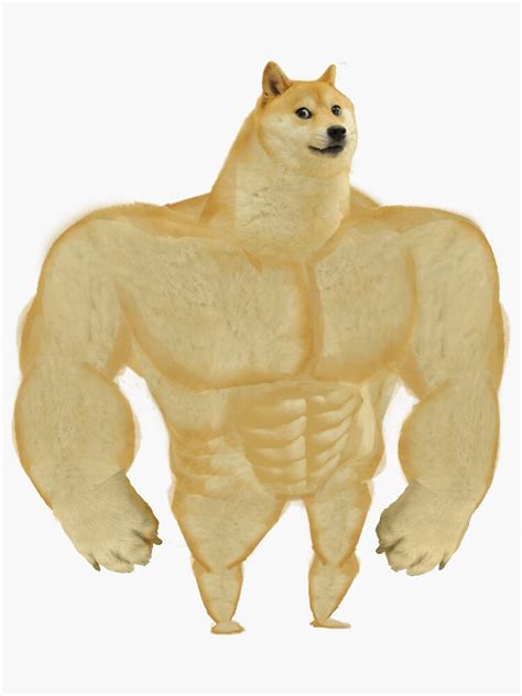 Shiba Inu For Sale: Your Ultimate Guide to Finding the Perfect Companion