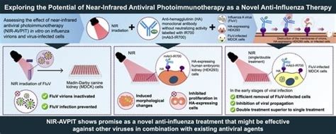 Targeted Elimination of Influenza Virus and Infected Cells with Near ...
