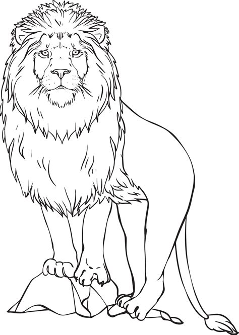 Lion. Black and white vector drawing. For illustrations and colouring ...