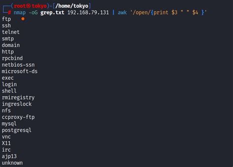 Nmap Output Examples 的图像结果