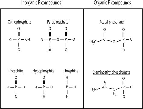 Rethinking early Earth phosphorus geochemistry | PNAS