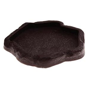 Enakshi (LABEL) Reptile Tortoise Gecko Feeding Bowl Food Water Resin ...