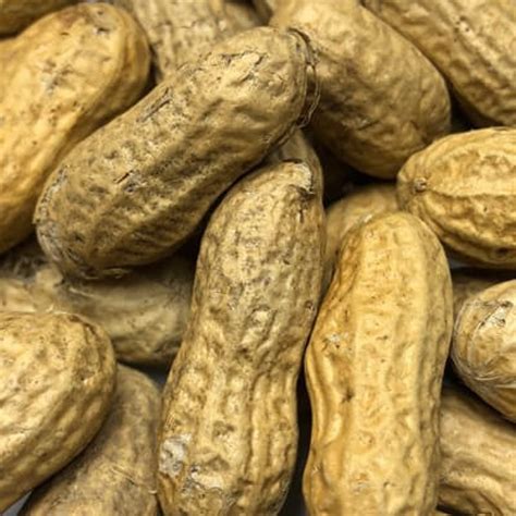 Peanuts | In Shell | Roasted | Sold per LB | Year Round