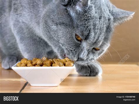 Where Is Blue Cat Food Made at Shirley Manley blog