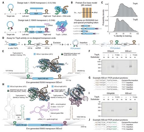 Science Org 的图像结果