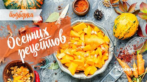 Подборка осенних рецептов. Веганские блюда из сезонных продуктов - YouTube