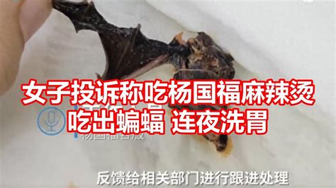 女子投诉称吃杨国福麻辣烫 吃出蝙蝠连夜洗胃 - YouTube