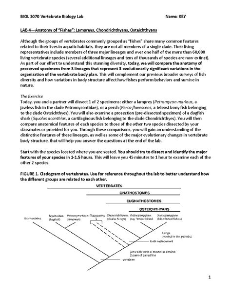 BIOL 3070 Vertebrate Biology Lab 4: Key Dissection of Lampreys, Sharks ...