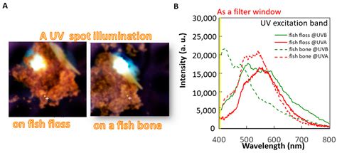 Hybrid Vibration and UV Fluorescence Technology for Rapid Imaging and ...