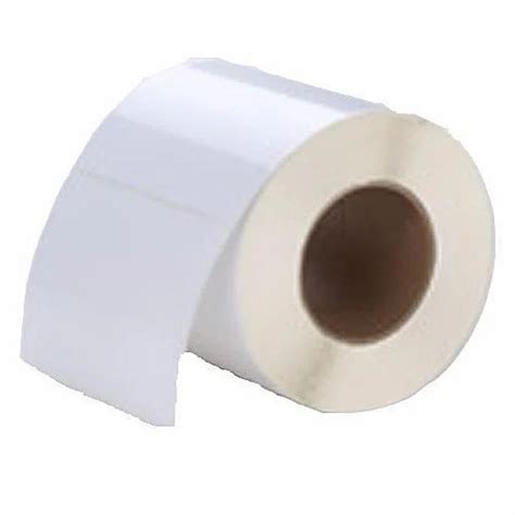 Polyester Labels - White Polyester Label Manufacturer from New Delhi