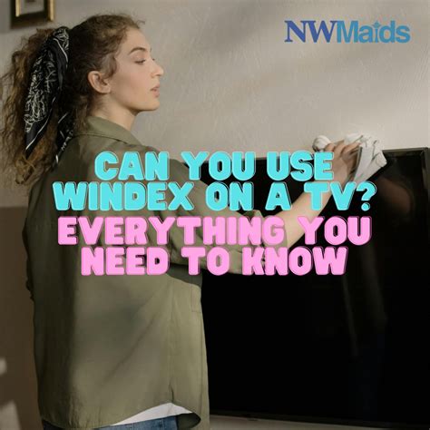 Can You Use Windex on a TV? Everything You Need to Know | NW Maids