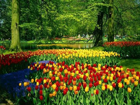 Bing Wallpaper Spring 的图像结果