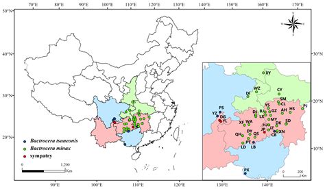New Species-Specific Primers for Molecular Diagnosis of Bactrocera ...