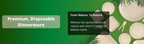 Buy Woodka Disposable Leaf Palm Plates|Areca|Use and Throw|Ecofriendly ...