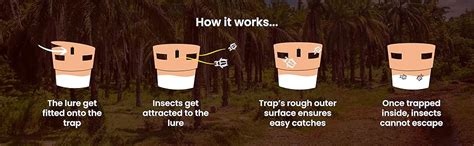 GAIAGEN Coco Trapp | Insect Bucket Trap | Pack of 5 | (Traps for ...