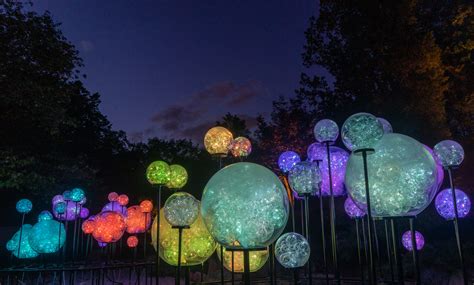 LIGHT: Bruce Munro at Cheekwood - Cheekwood