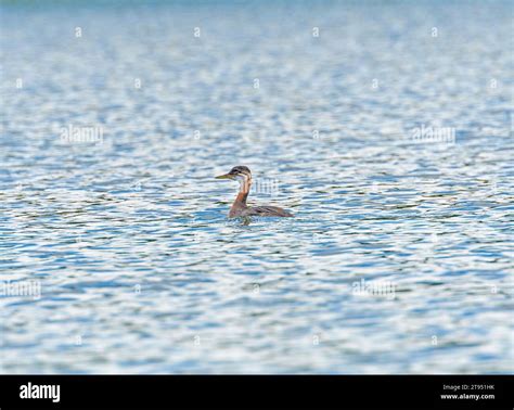 Turtle mountain provincial park hi-res stock photography and images - Alamy