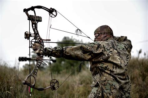 Best Beginner Compound Bow | Archery hunting, Types of hunting ...