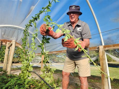 Bob’s berry farm – thorny, thrifty and thriving