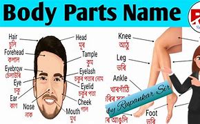 Image result for Body Parts English for Kids