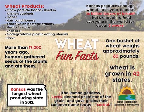 Fun Facts About Kansas Band at Lily Wright blog