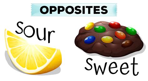 Examples Bitter Foods