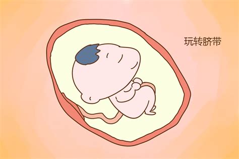 不同阶段胎宝宝在妈妈肚里的有趣活动，好神奇好暖心