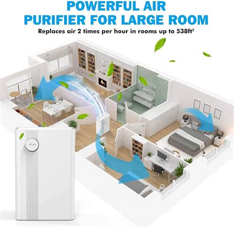 True HEPA Air Filter Review