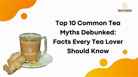 Top 10 Tea Myths Debunked | Benefits & Facts
