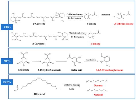 Effects of Different Fermentation Methods on Flavor Quality of Liupao ...