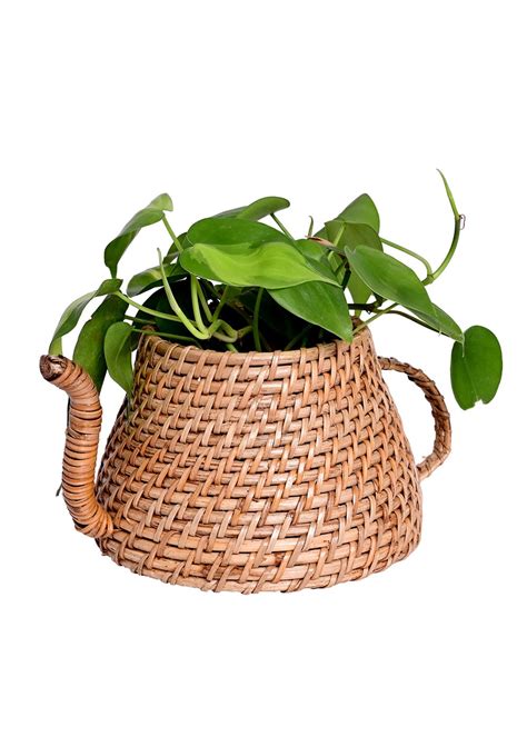 Get Handmade Natural Cane Kettle Planter - 25x18x12 cm at ₹ 1499 | LBB Shop