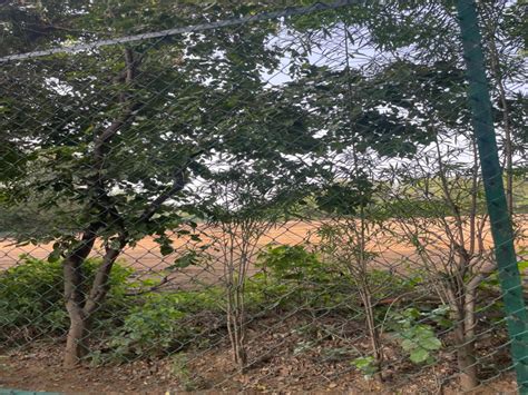 Agricultural/Farm Land for Sale in Sohna Road, Faridabad - by ...