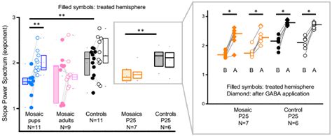 Perturbation of Cortical Excitability in a Conditional Model of PCDH19 ...