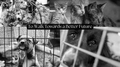 Petition · Amendment of the PCA act 1960 - India · Change.org