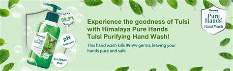Himalaya Pure Hands Purifying Tulsi Hand Wash Pump 250 ml : Amazon.in ...