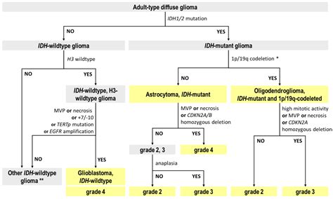 Reclassification of TCGA Diffuse Glioma Profiles Linked to ...