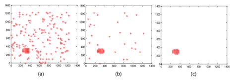 Noise Filter Algorithm 的图像结果