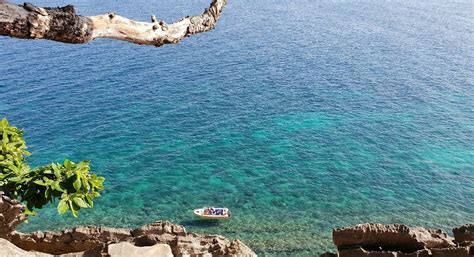 BIRD ISLAND (2026) All You Need to Know BEFORE You Go (with Photos ...