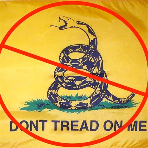 Dont Threat On Me Flag
