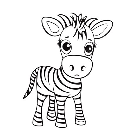 Color By Number Zebra at Thomas Marriott blog