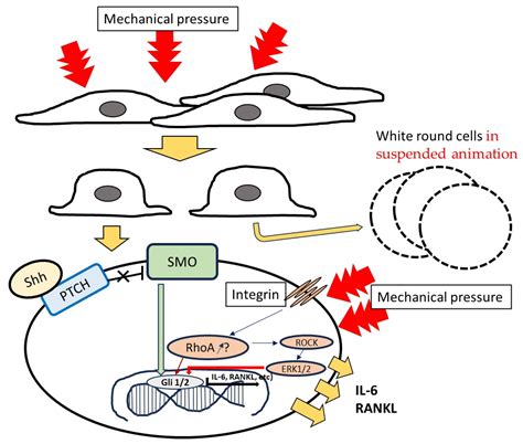 Effects of Improper Mechanical Force on the Production of Sonic ...