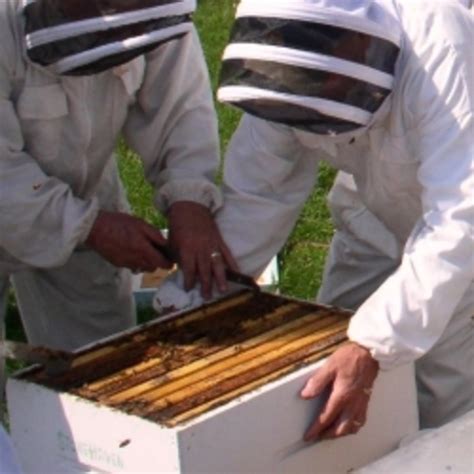 Image result for Spring Beekeeping