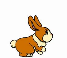 Image result for Animated Bunny