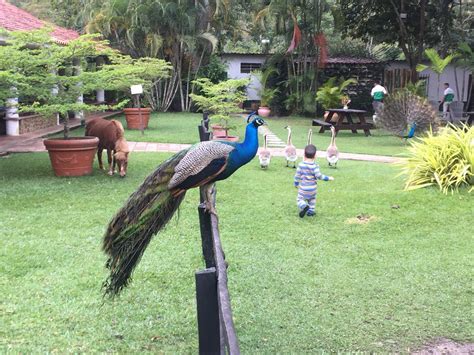 POSADA LA CALCETA (Bejuma) - Campground Reviews & Photos - Tripadvisor