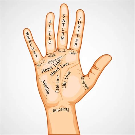 Palmistry Lucky Sign: हथेली में 'V' का निशान वाले लोग होते हैं लक्की ...