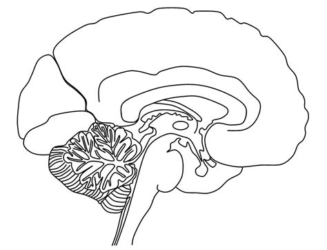 Psychology 的图像结果