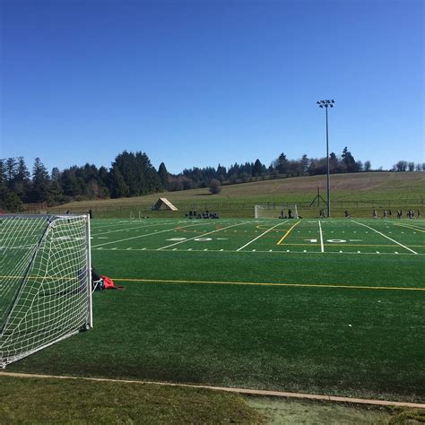 HAZELIA FIELD (2025) All You Need to Know BEFORE You Go (with Photos ...